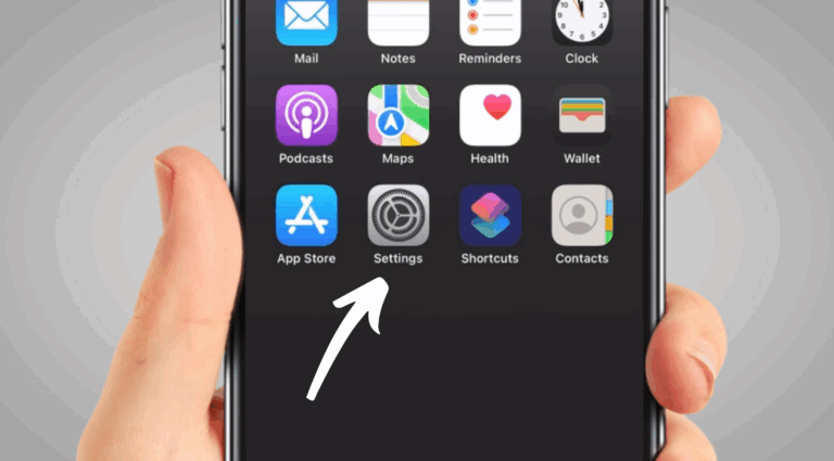 Iphone setting icon