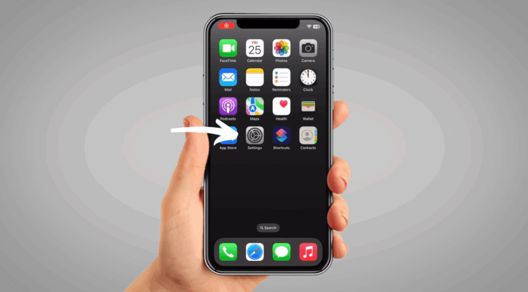 iphone setting icon